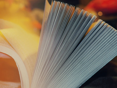 Aufgeschlagenes Buch - Sachbuch Struktur und Inhal